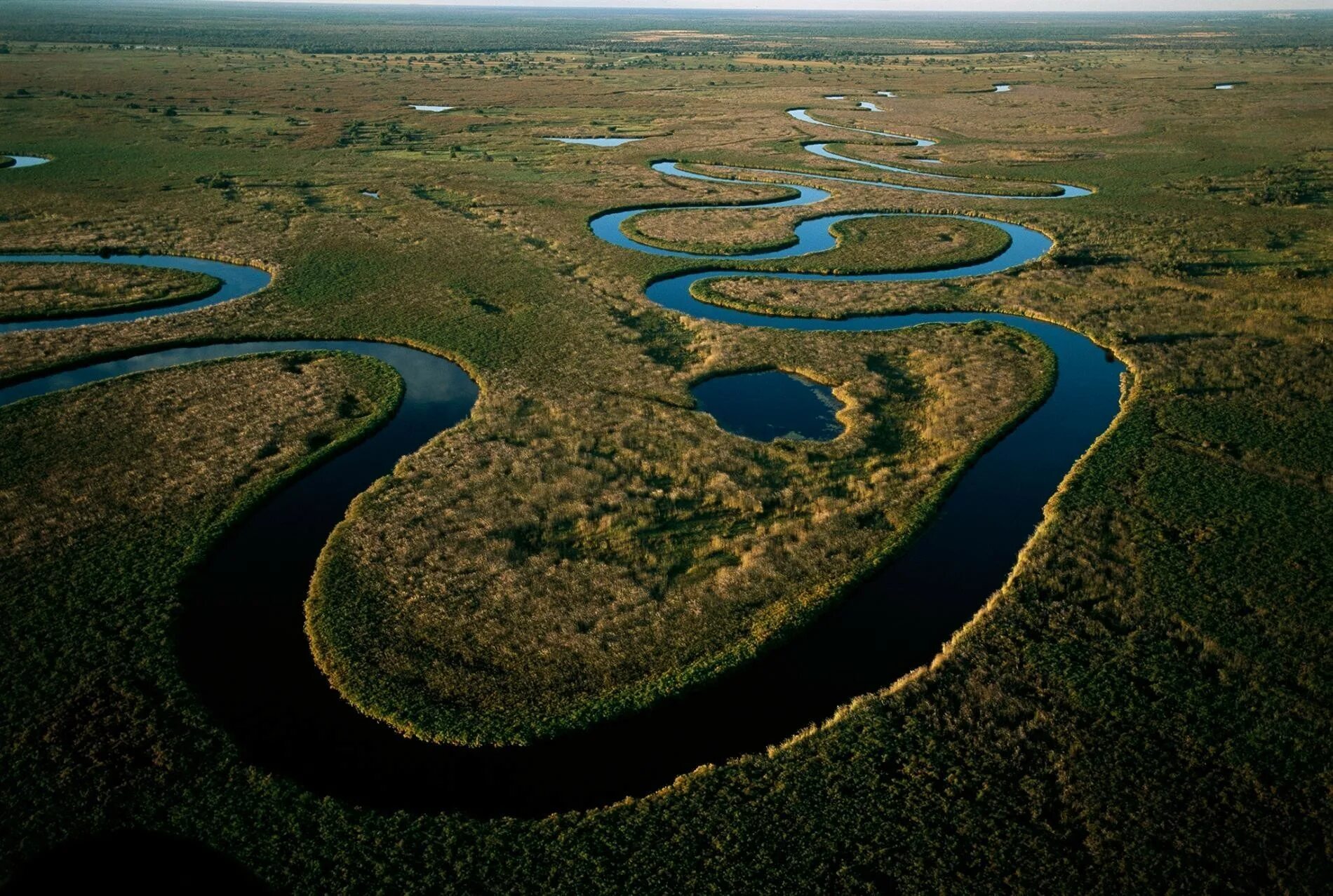 Самые большие реки на планете земля. Дельта реки Окаванго. Дельта реки Окаванго в Ботсване. Дельта реки Окаванго Африка. Река Окаванго в Калахари.