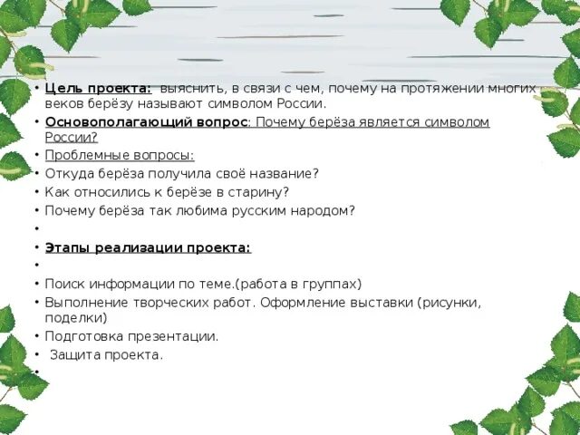 Почему береза стоит