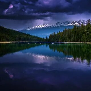 Самые скачиваемые обои