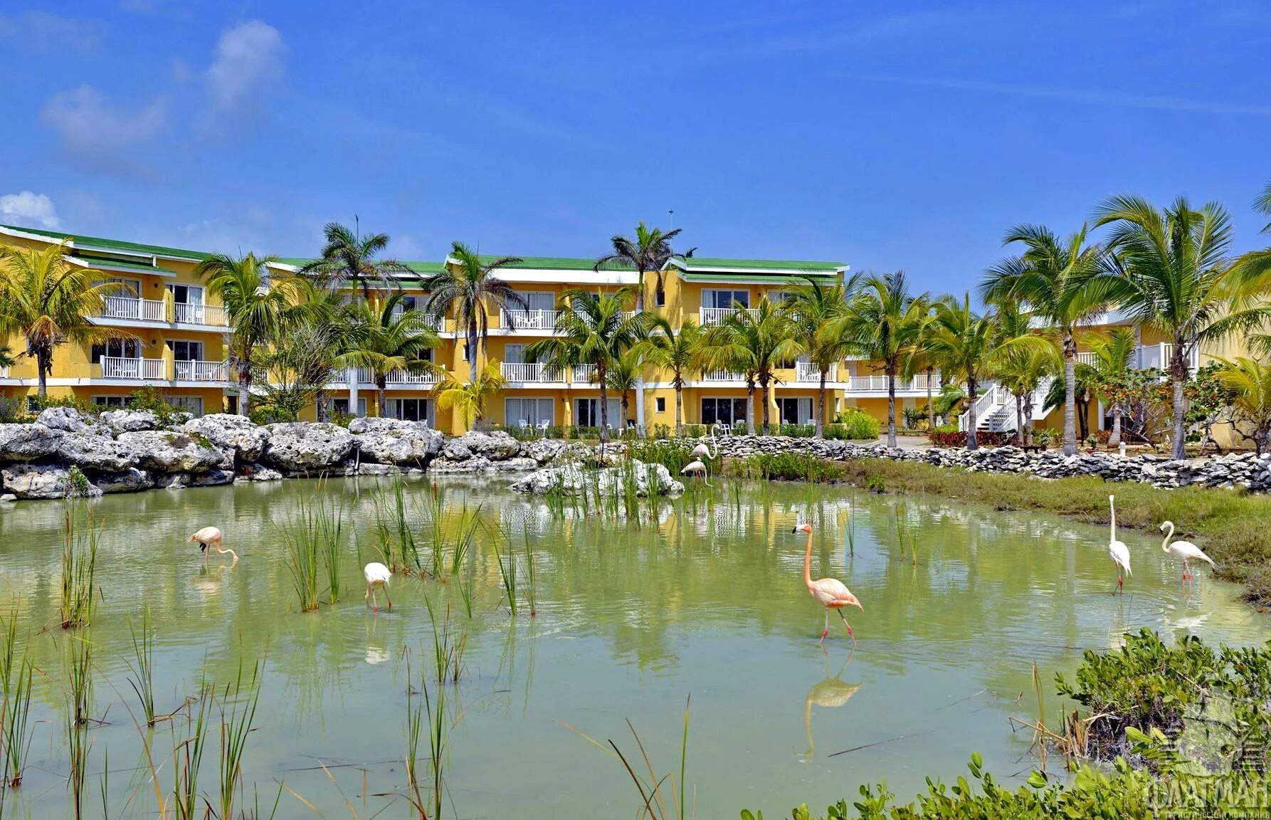Кайо коко tryp cayo coco. Отель tryp cayo coco 4. трип кайо коко куба отель 4. tryp cayo coco 4* куба, хардинес-дель-рей. куба отель tryp cayo coco 5.