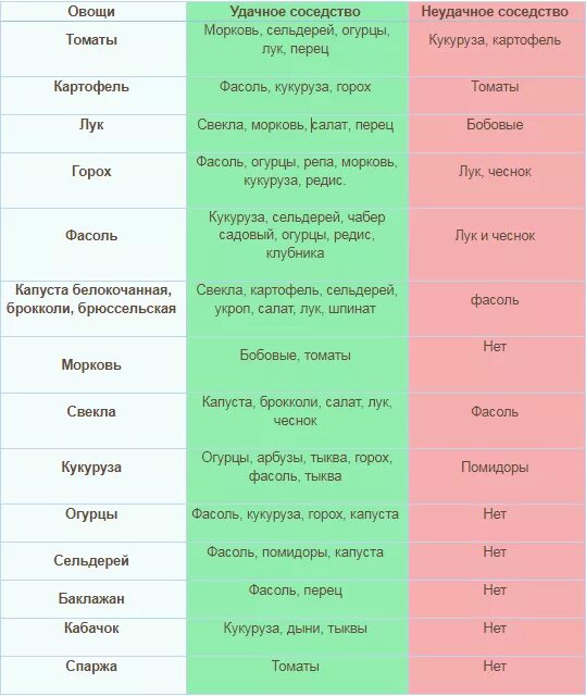 Какое соседство. Совместимость овощей на огороде. соседство капусты и помидор. совместимость растений на грядке. помидоры соседство.