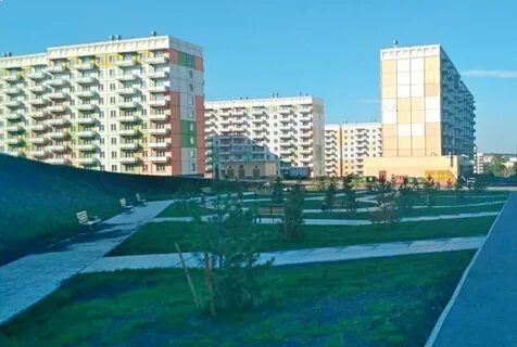 Березовая роща новокузнецк