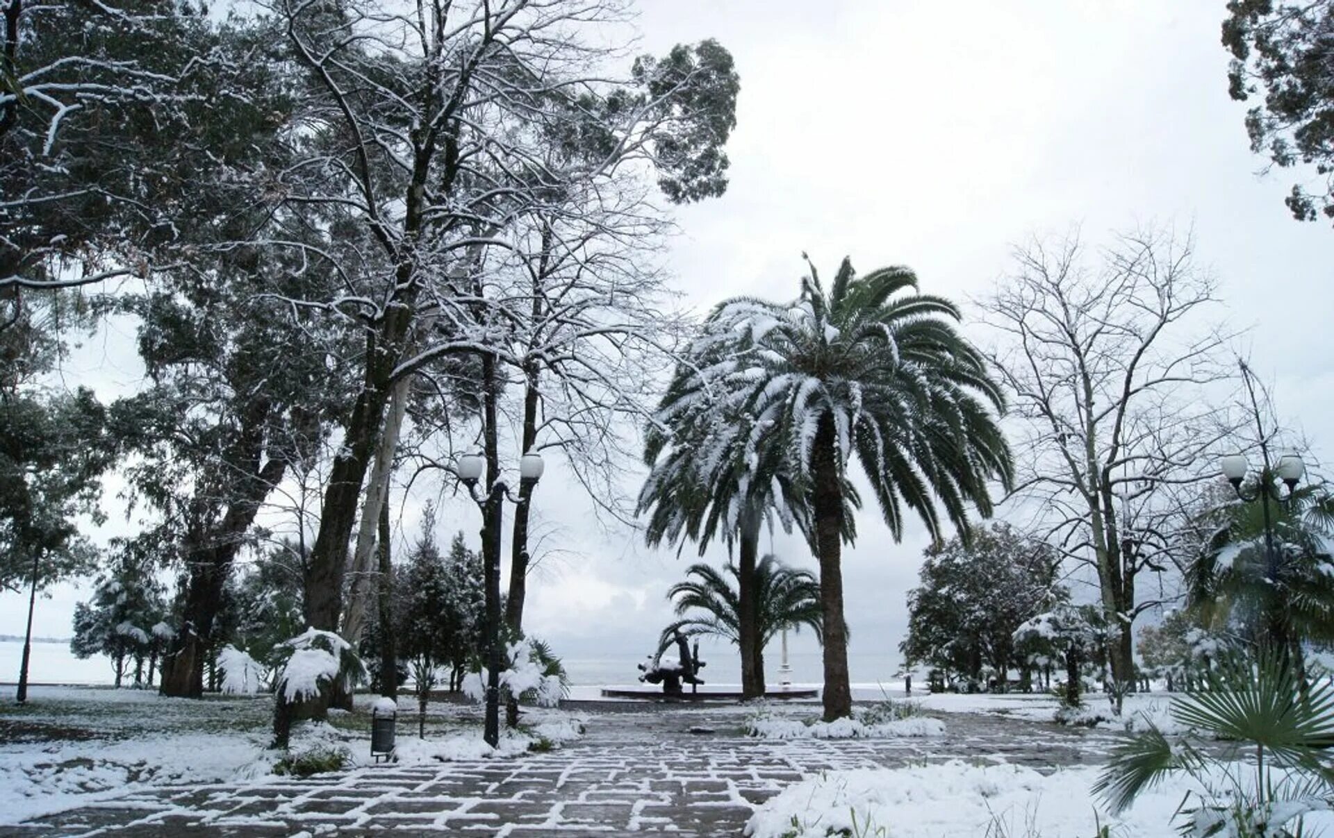Абхазия погода на неделю сухуми. Гагра зима. Абхазия Сухум зима. Абхазия Пицунда зима. Абхазия Гагры зима.