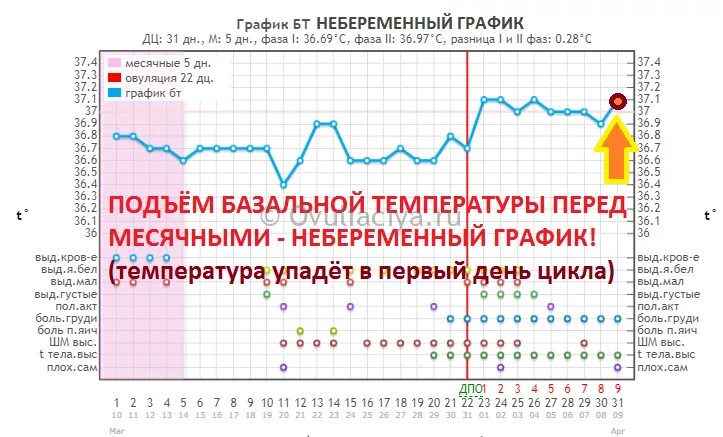 График базальной температуры менструационного цикла. Базальная температура 36,9 беременный график. График базальной температуры с первого дня месячных. Базальная температура перед месячными 36,2.