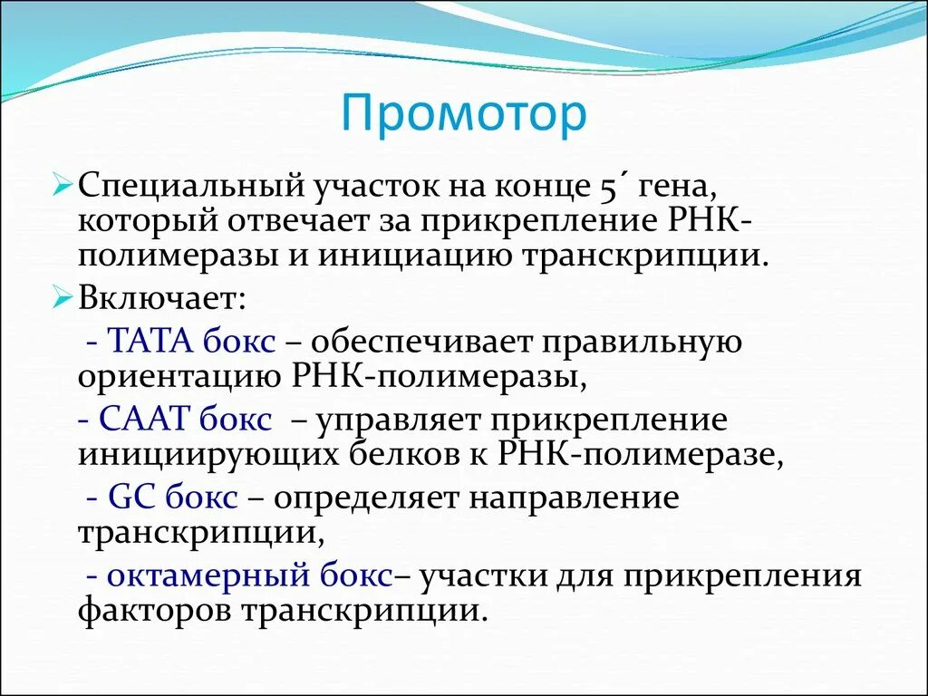 Функция промотора в структуре Гена. Функции промотора ДНК. Ген структура Гена. Организация и функции промоторов. Какую роль играют гены