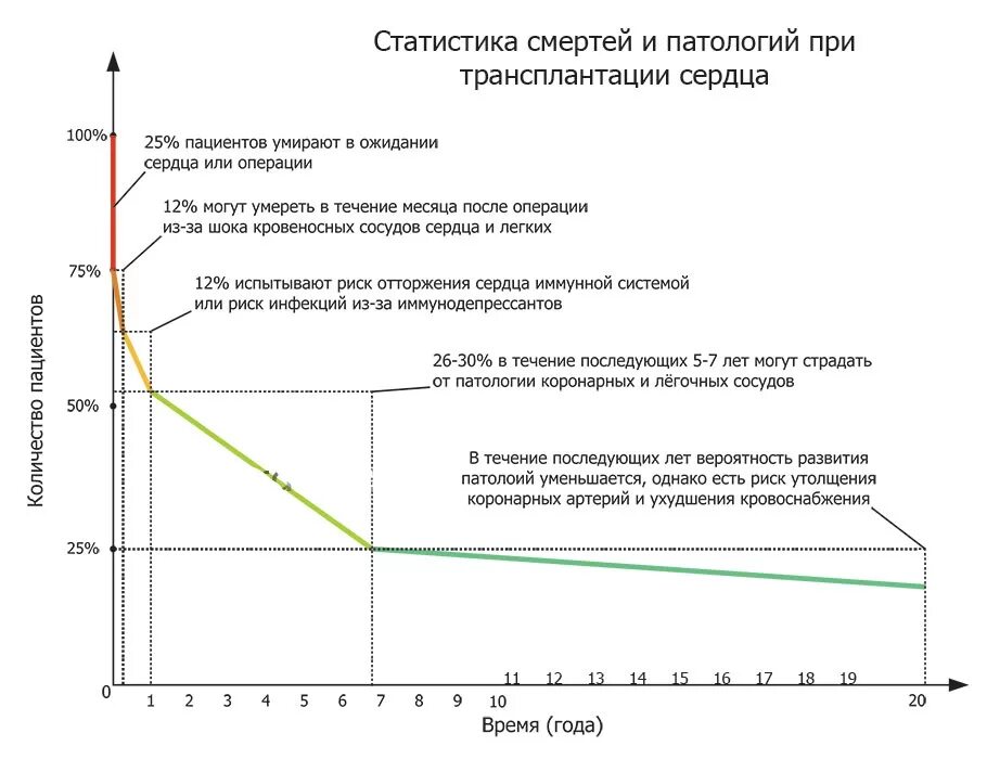 осложнения после трансплантации печени. осложнения после трансплантации печени. сколько живут после пересадки. сколько живут люди с 1 почкой. после пересадки сердца.