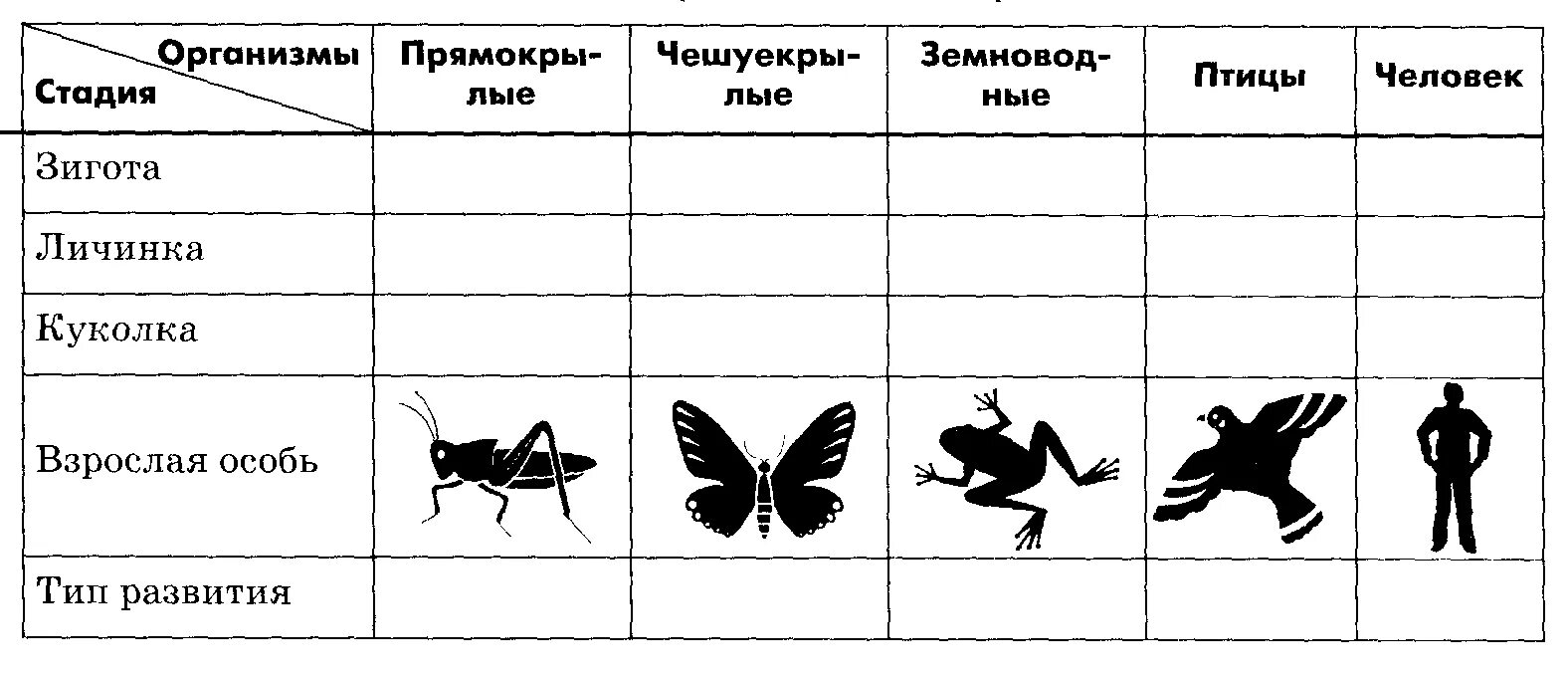 Типы развития животных биология 8 класс. Развитие животных. Задания на тему размножение и развитие животных. Развитие животных биология рабочий лист. Упражнения проверочные размножение животных.