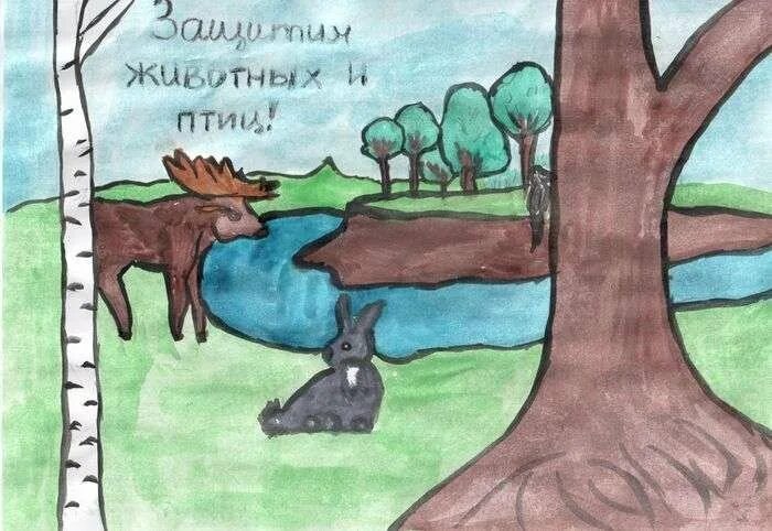 Плакат берегите животных окружающий мир. Плакат берегите животных 3. детские рисунки берегите животных. защитим животных и птиц.