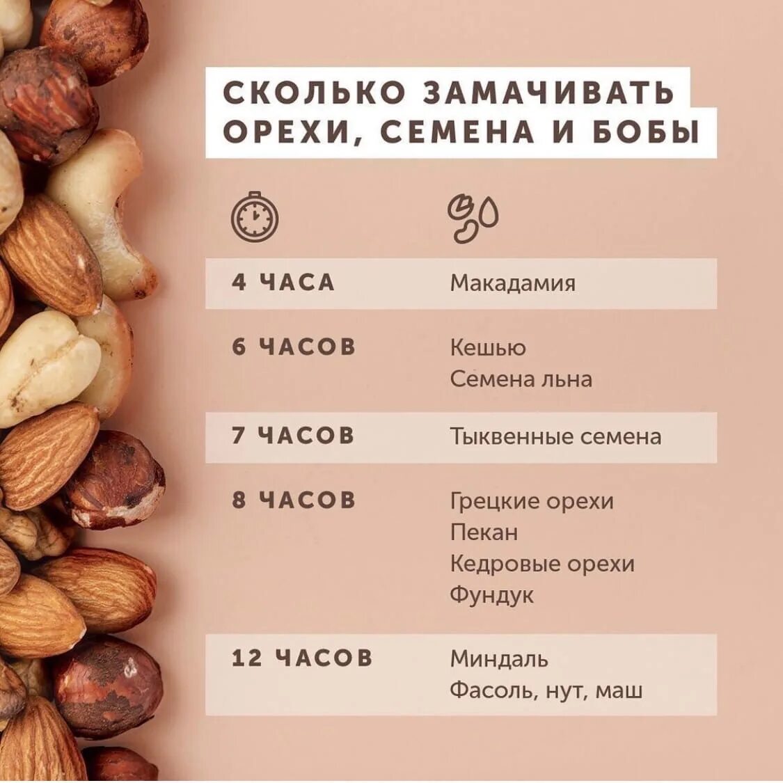 Орехи с какого возраста. Таблица замачивания орехов. сколько замачивать орехи. орехи витамины и минералы. замачивать орехи перед употреблением.