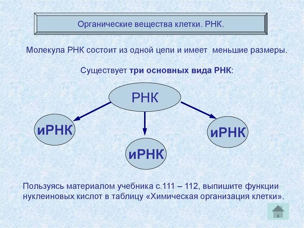 Химический состав клетки функции веществ. Неорганические вещества клетки биология 10 класс. Органические вещества клетки 10 класс. Органические вещества клетки класс 10 класс. Органическое соединение РНК.