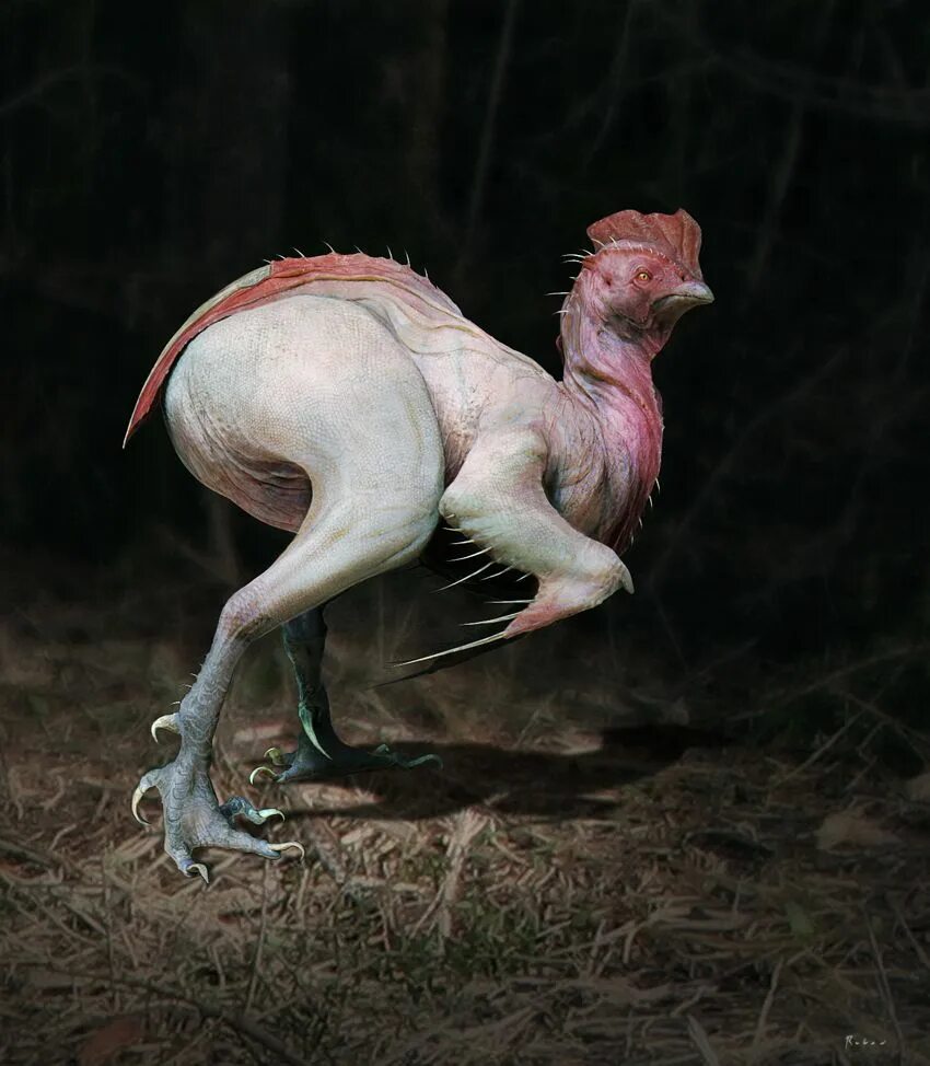 Чей гибрид. Курозавр Хорнер. Чикен Эволюция. Курица потомок динозавров. Динозавр петух.