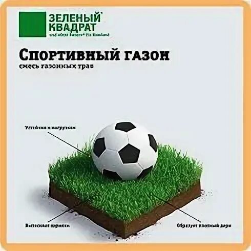 Квадратика это спорт