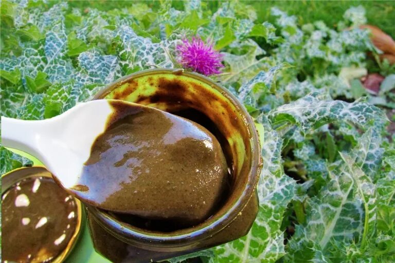 Расторопша урбеч полезные свойства. Живой продукт урбеч из семян расторопши. Добрые традиции урбеч из расторопши. Добрые традиции урбеч из расторопши. Мералад урбеч из расторопши.