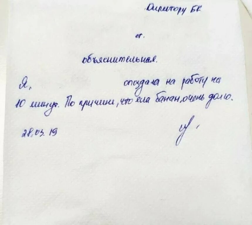 Не придет по состоянию здоровья. Объяснительная. Как написать объяснительную. Смешные объяснительные. Как писать объяснительную на работе.