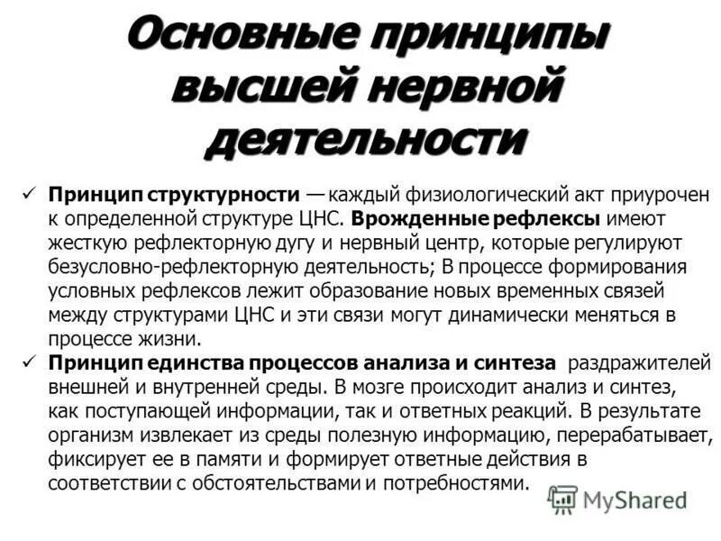 Что изучает физиология высшей нервной деятельности