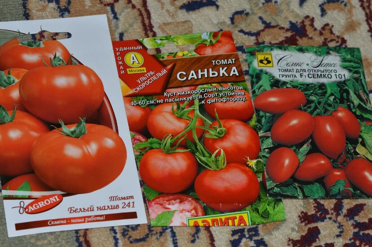 Семена. Семена помидор бетта. Помидоры сорт бетта. Томат бетта характеристика и отзывы. Гавриш томат бетта.