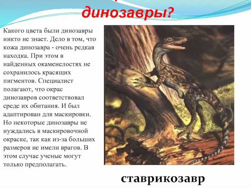 Каких цветов были динозавры. Какого цвета были динозавры. динозавры о которых почти никто не знает. цвет кожи динозавров. каким цветом была кожа у динозавров.