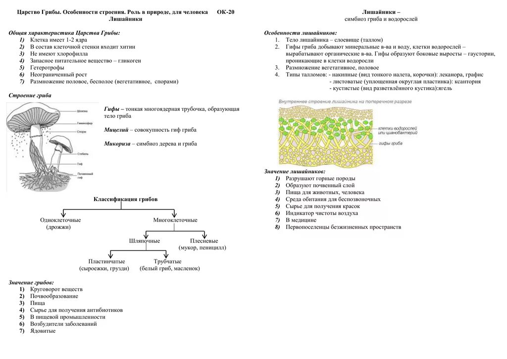 Конспект биология грибы лишайники 5 класс. Царство грибов 7 класс биология таблица. Конспект по биологии по теме грибы 7 класс. Конспект по биологии 5 класса характеристика царства грибов. Грибы биология огэ