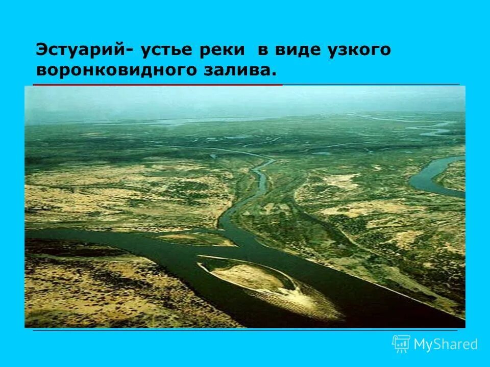 Видовое разнообразие реки. Устье Дельта и эстуарий. Эстуарий реки это. Устье реки. Устье реки и эстуарий.