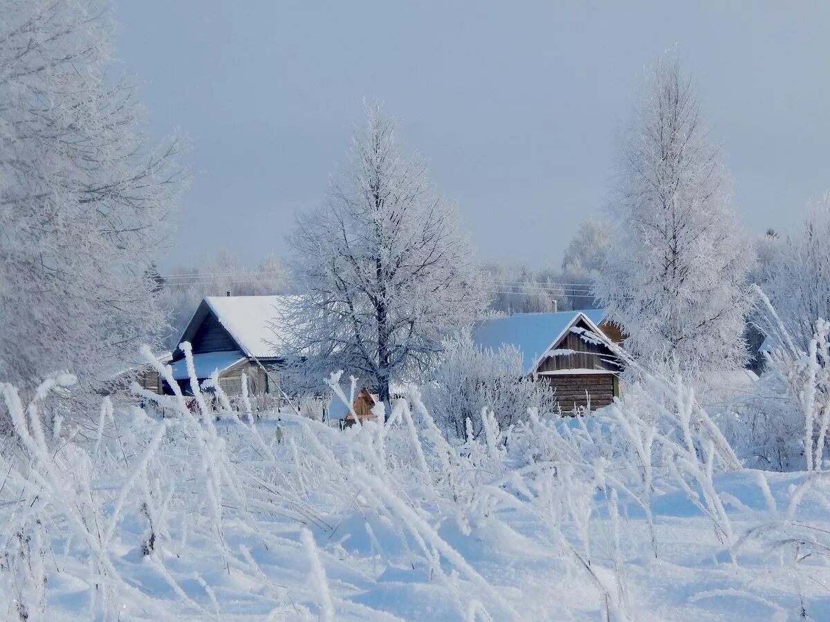 Зима в деревне. Деревня зимой. Деревня в снегу. Снежная зима в деревне.