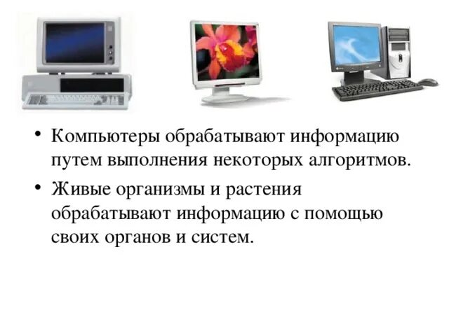 Компьютер представляющий свои ресурсы. Компьютер обрабатывающий информацию. что обрабатывает информацию в компьютере. компьютер может обрабатывать информацию. как растения обрабатывают информацию.