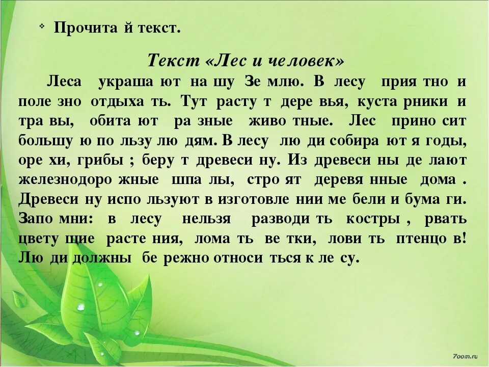 План как был в лесу летом. Сочинение про лес. Рассказ на тему лес. Текст про лес. Рассказ о лесе 3 класс.