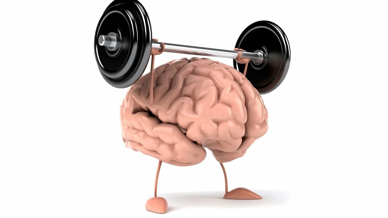 Человек крепок памятью. Мозг со штангой. Умственная и физическая работоспособность. Прокачай мозг. Прокачать мозг.