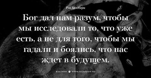 Цитаты рея