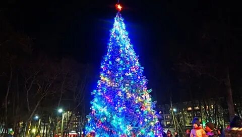 Подольск ели