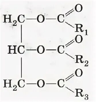 Тест жиры 10 класс с ответами. Триглицерид масляной кислоты. Строение жиров картинка. Метиловый эфир глицерина. Молекулярные формулы строения жира.