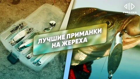 Живу на земле канал о рыбалке