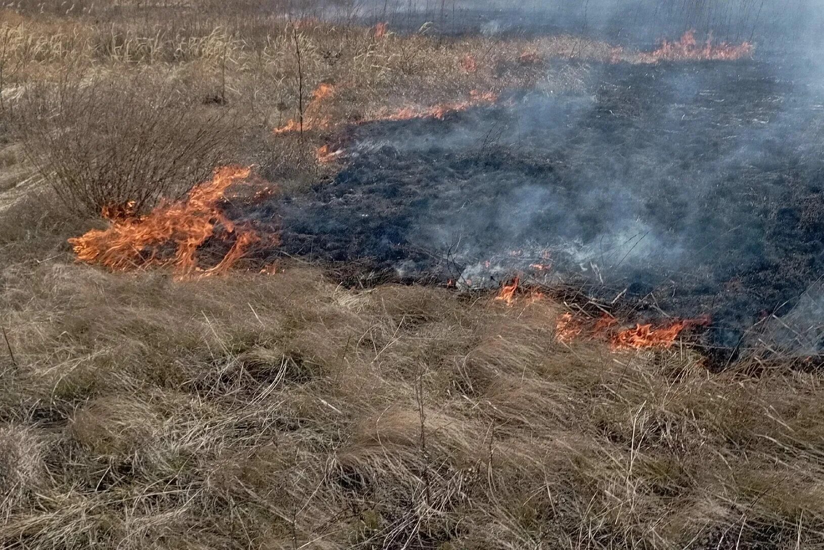 Степные пожары. Пожар в степи. Пожары в Оренбургской области. Степной пожар фото.