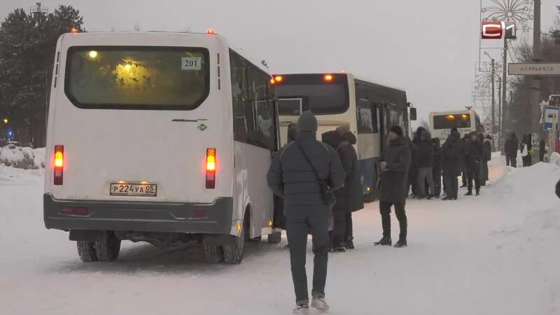 Сургут белый яр автобус. Полиция сургут. Маршрутка белый яр сургут 201. Сургут белый яр автобус. Спато сургут.