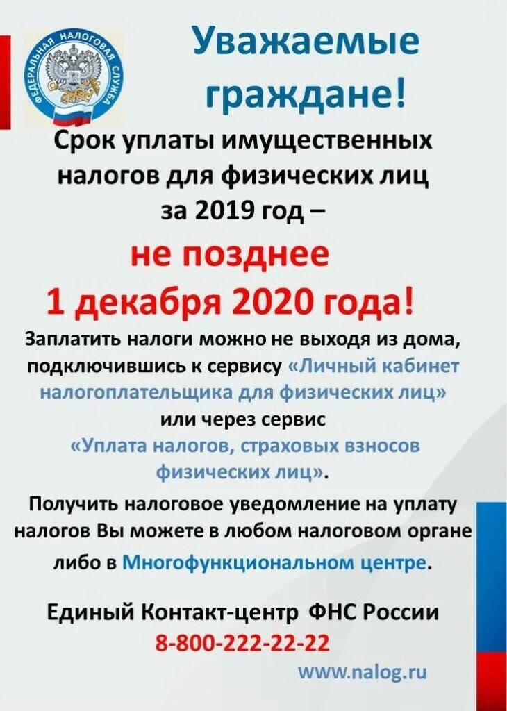 Срок уплаты налога. Срок уплаты имущественного налога. Листовки по имущественным налогам. Оплати налоги до 1 декабря.