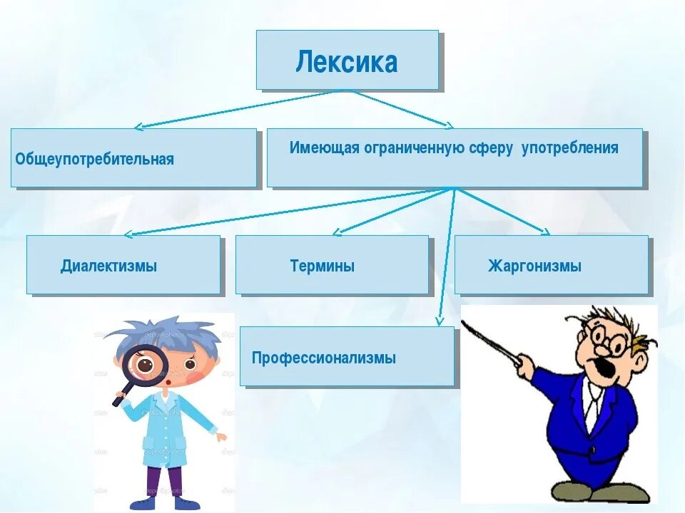 Лексика. Лексика ограниченного употребления. Общеупотребительная лексика. Общеупотребительная и ограниченная лексика. Лексика примеры употребления