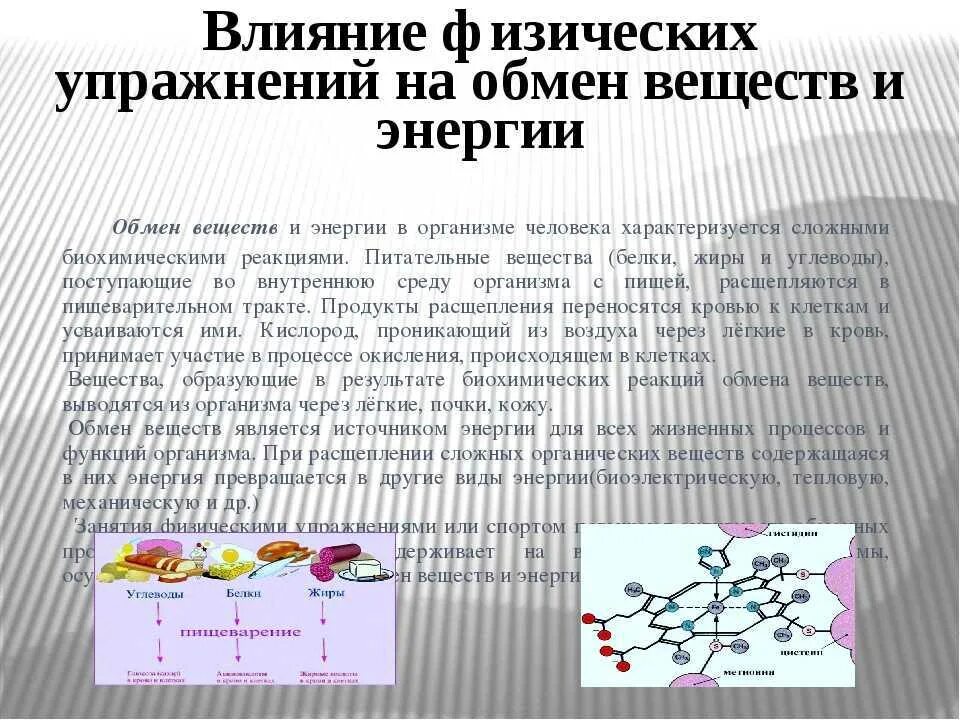 Обмен веществ минеральное питание. Влияние физических упражнений на обмен веществ. Особенности обмена веществ при занятиях физической культурой. Изменение обмена веществ при физических нагрузках. Особенности обмен веществ в организме.