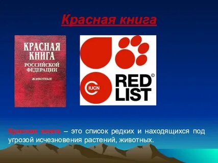 Красная книга как пишется с большой
