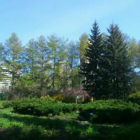 Институт промышленной экологии. Институт экологии уро ран. Иэриж уро ран сотрудники. Институт экологии растений и животных уро ран. Имет уроран фото зимой.