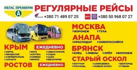 Старый оскол краснодар автобус
