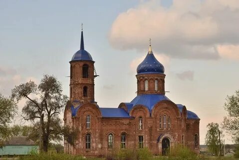 Елец лозовка