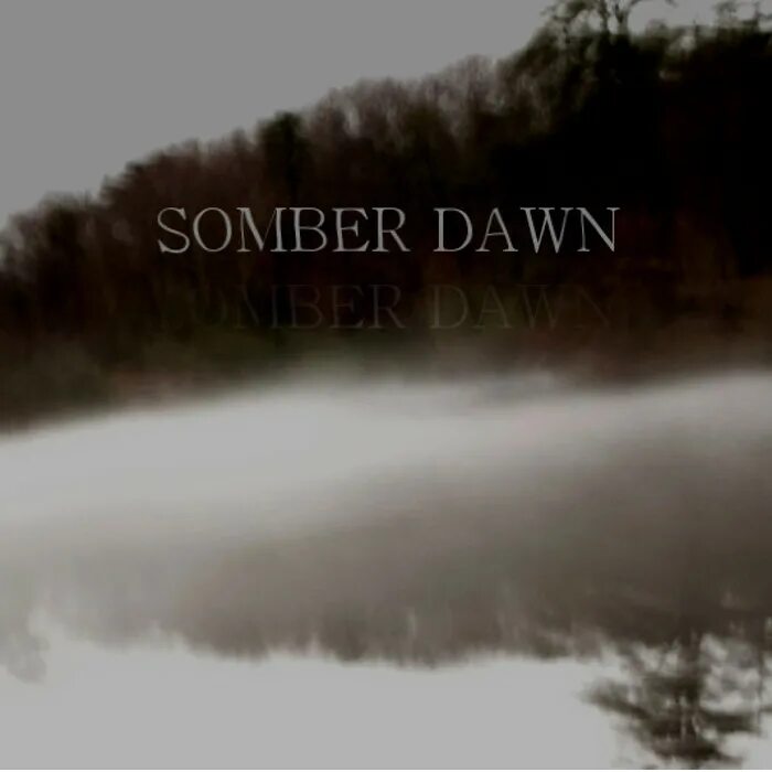 Игра дожить до рассвета ps4. Dawn die. Dawn richard mls май. Far cry new dawn поезд. Dezperadoz the dawn of dying.