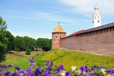Цвета великого новгорода