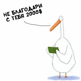 Гусь врач