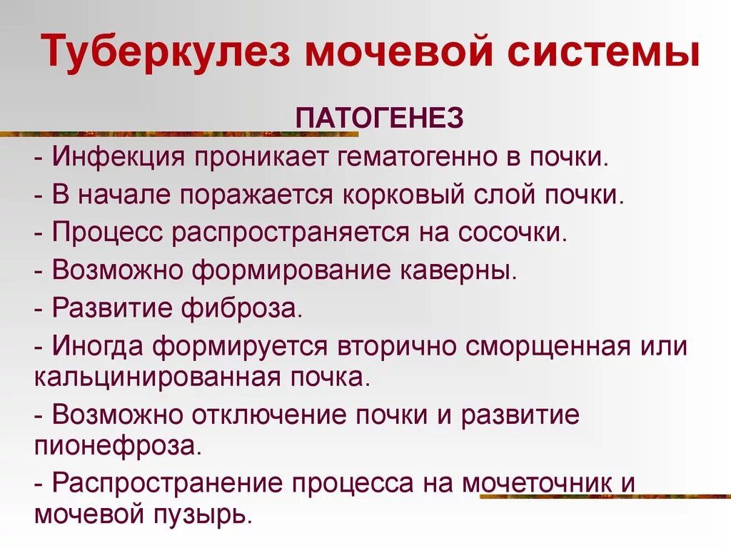 Туберкулез мочевой системы