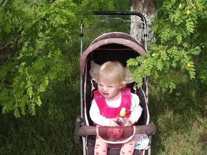 Погода жутова 2