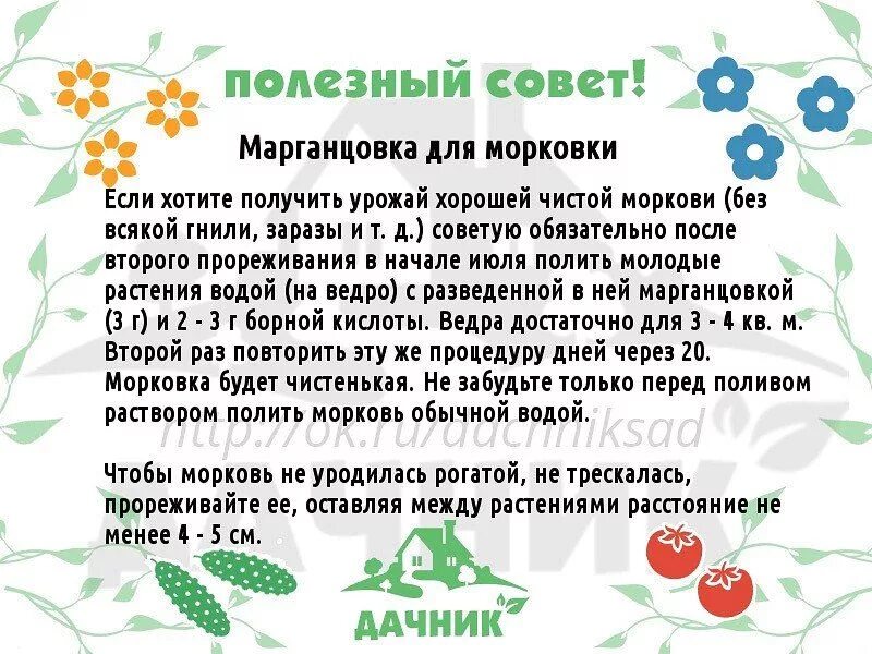 Обработка клубники йодом. Полезные советы для растений. Советы дачникам. Сад и огород советы. Полезные советы для дачи и огорода.