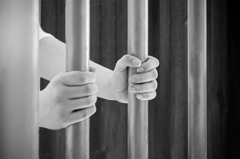 Through the bars