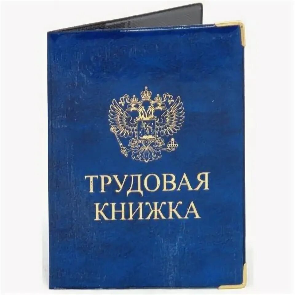 Обложка на трудовую. Трудовая книжка. Трудовая книжка Россия. Трудовая книга обложка.