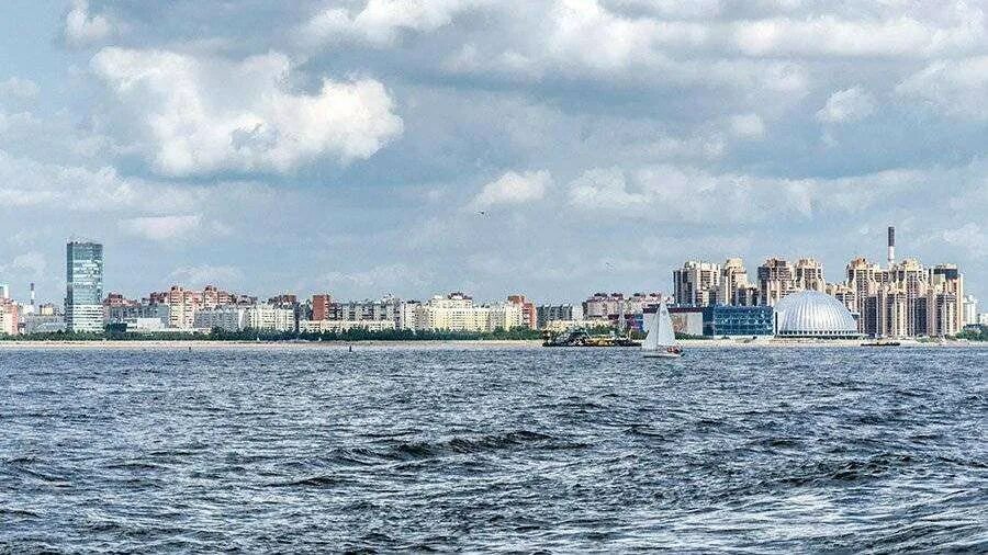 Купить 1-комнатную квартиру 40 м² по адресу Санкт-Петербург, улица Савушкина, 13