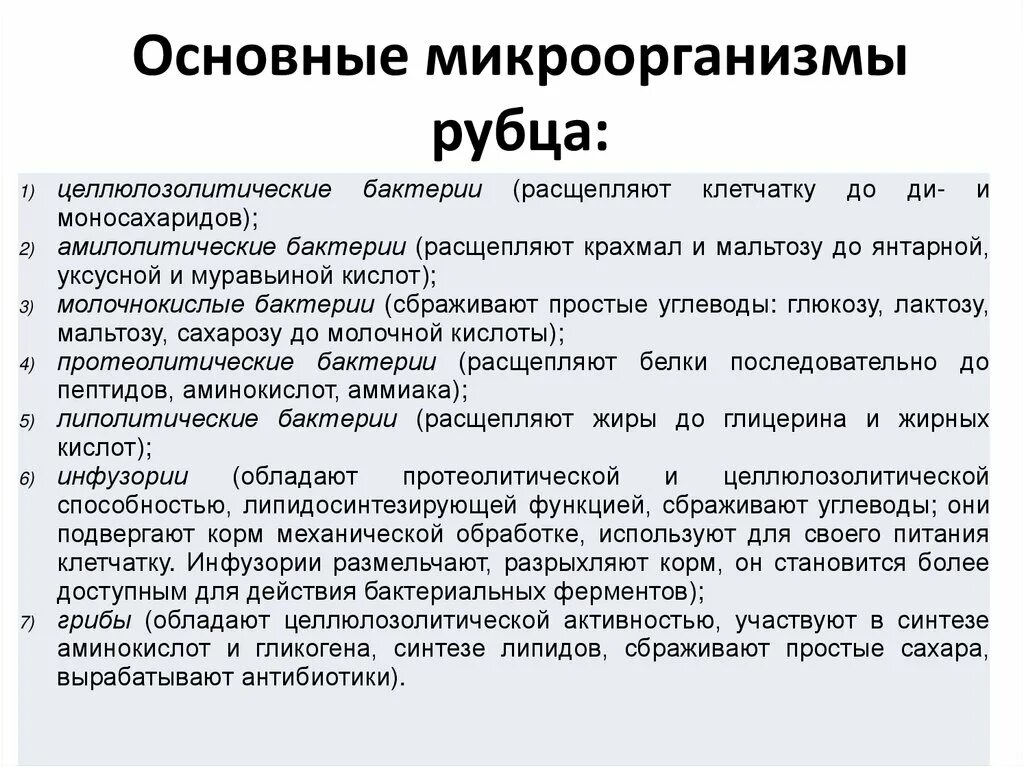 Рубцовые бактерии. Бактерии рубца. Микрофлора рубца. Микрофлора рубца КРС. Бактерии рубца жвачных животных.